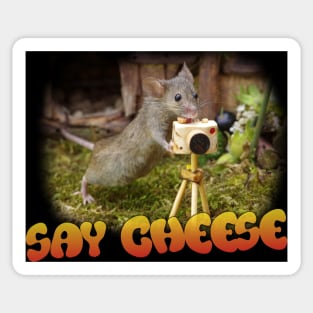 wild mouse with a camera - say cheese Sticker